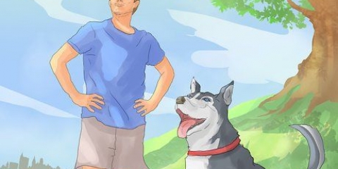 Lær din hund at gå til fods