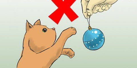 Beskytter dit juletræ mod katte