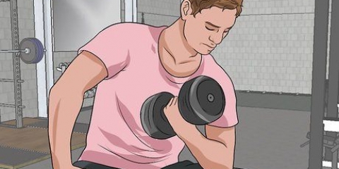 Sænke dit myostatin niveau