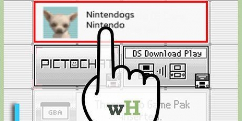 Slet dit nintendogs-spil
