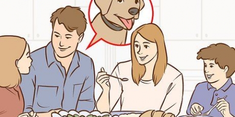 Overbevise dine forældre om at få en hund