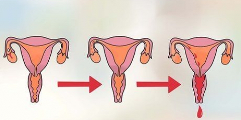 Bestem din mest frugtbare dag for at blive gravid