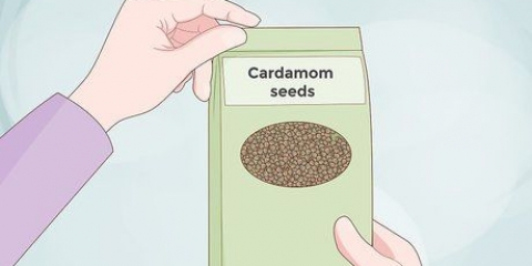 Dyrk kardemomme
