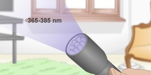 At finde katteurin med en uv-lampe