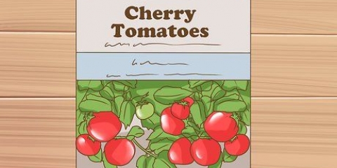 Dyrkning af cherrytomater