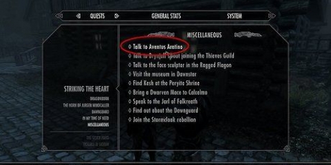 Deltag i det mørke broderskab i skyrim