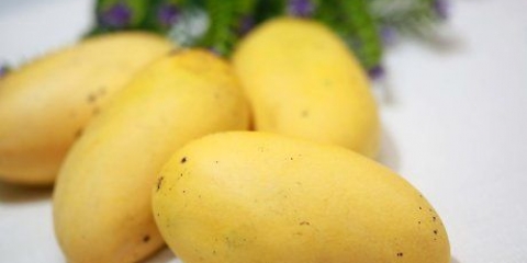 Opbevaring af mango