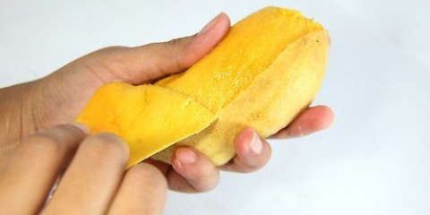 At lave mangojuice