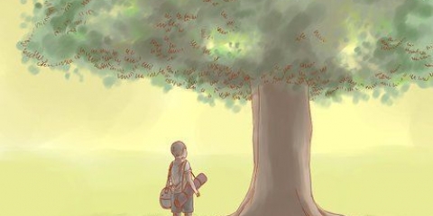 Meditere