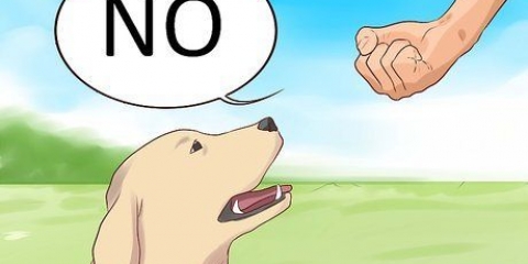 Sig nej til din hund