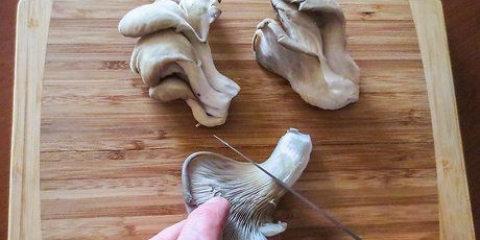 Forbered østerssvampe