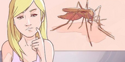 At skelne mellem malaria, dengue og chikungunya