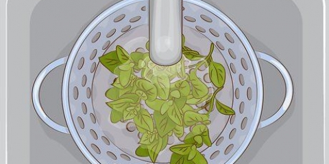 Brug af oregano i køkkenet