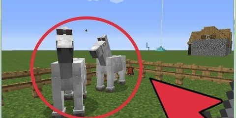 Opdræt af heste i minecraft