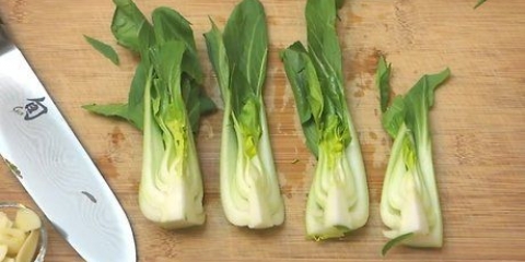 Tilbered pak choi