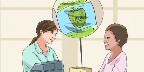 Dyrkning af peberfrugter