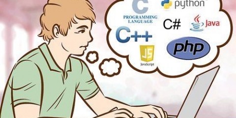 Programmering på computeren