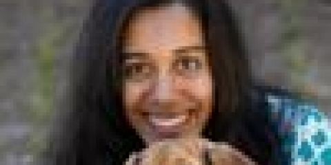 Computer programmering