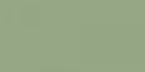 Fjern python