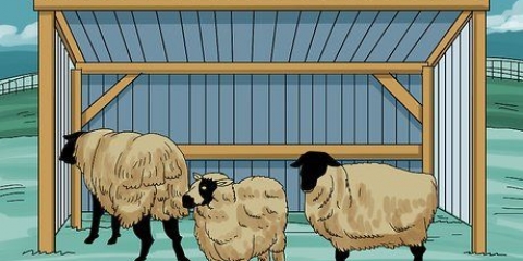 Pasning af får