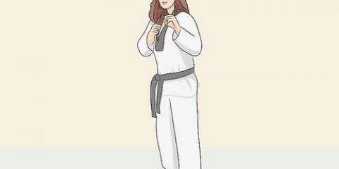 Sparke (kampsport)