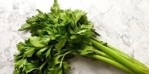 Fryse selleri