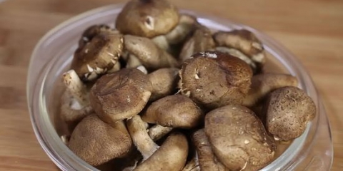 Forberedelse af shiitakes