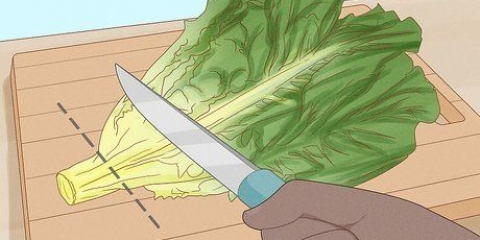 Holde salat frisk