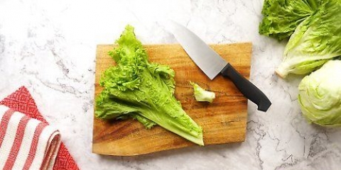 Rengøring af salat