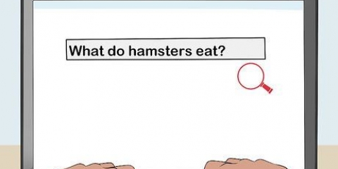 At få tilladelse fra dine forældre til at holde en hamster