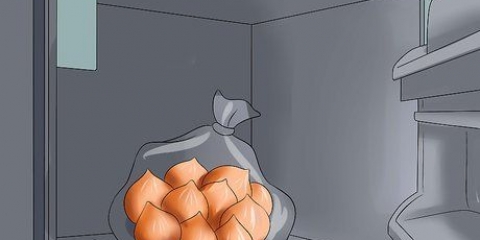 Pas på tulipaner