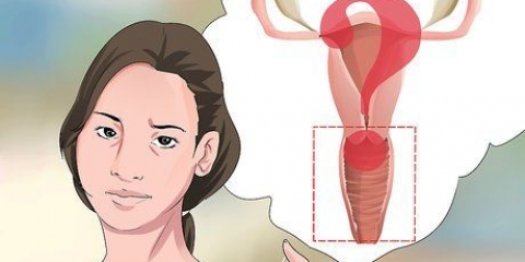 Diagnosticering af vaginalt udflåd