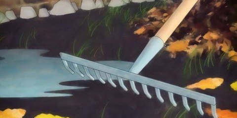 Slip af med ulveedderkopper