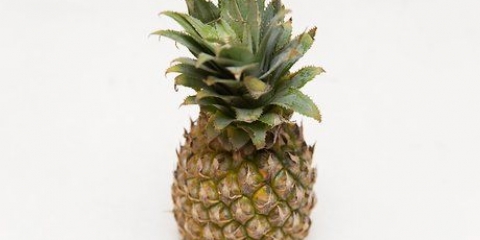 Køb og opbevar frisk ananas