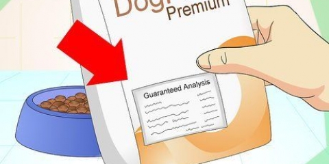 Tilføjelse af fibre til din hunds kost