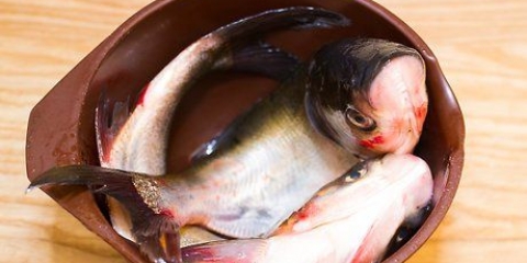 Forbered fisk