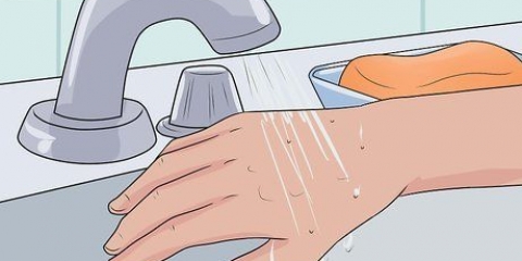 Behandling af loppebid