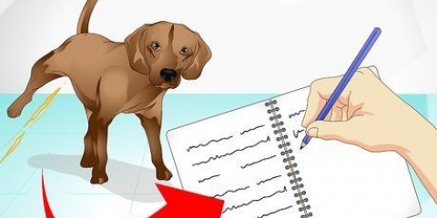 At tage sig af en syg hund
