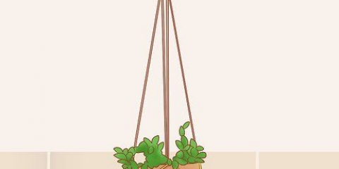 Forhindrer en kat i at spise planter