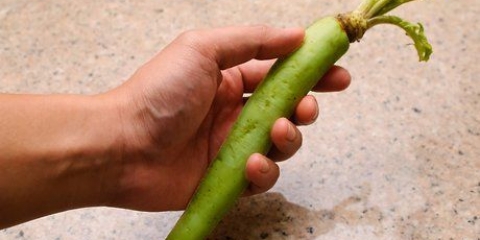 Forbereder wasabi