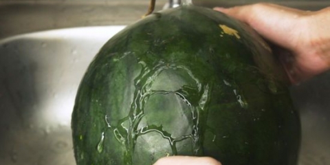 Frysning af vandmelon