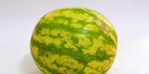 At lave vandmelonvin