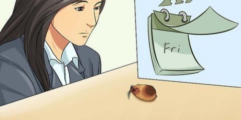 At vide, om din hamster er døende