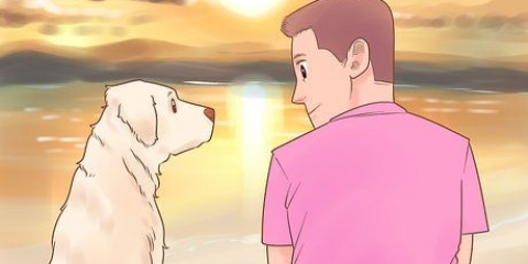 Ved, om din hund kan lide dig mest