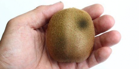 Se om en kiwi ikke længere er god