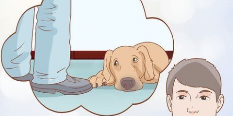 Se om din hund er deprimeret