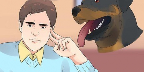 Pasning af en rottweiler-hvalp