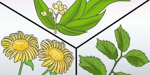 Forebyggelse af tunge menstruationer: kan det gøres naturligt?