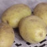 Opbevaring af kartofler