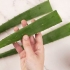 Spise aloe vera
